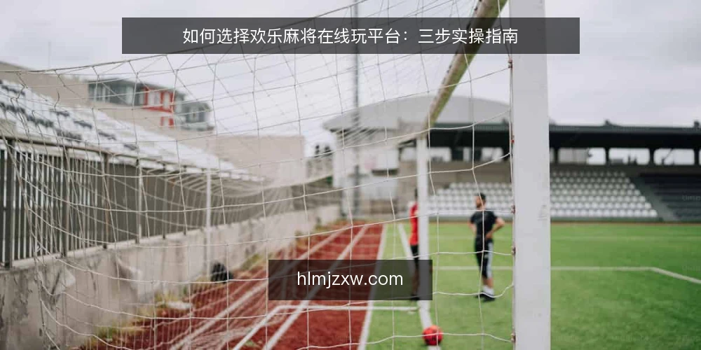 如何选择欢乐麻将在线玩平台：三步实操指南 — 第一步：明确你的游玩需求 配图