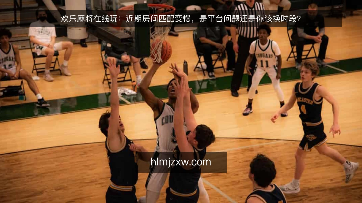 欢乐麻将在线玩：近期房间匹配变慢，是平台问题还是你该换时段？